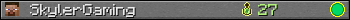 SkylerGaming userbar 350x20