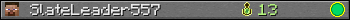 SlateLeader557 userbar 350x20