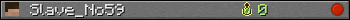 Benutzerleisten 350x20 für Slave_No59