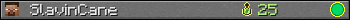 SlavinCane userbar 350x20