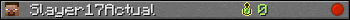 Slayer17Actual userbar 350x20