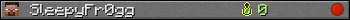 SleepyFr0gg userbar 350x20