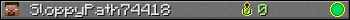 Юзербар 350x20 для SloppyPath74418