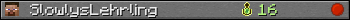 SlowlysLehrling userbar 350x20