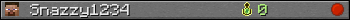 Snazzy1234 userbar 350x20