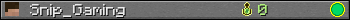 Snip_Gaming userbar 350x20