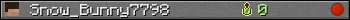 Snow_Bunny7798 userbar 350x20