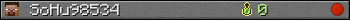SoHu98534 userbar 350x20