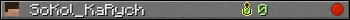 SoKol_KaRych userbar 350x20