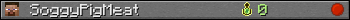 SoggyPigMeat userbar 350x20