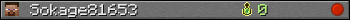 Sokage81653 userbar 350x20