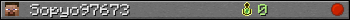 Sopyo97673 userbar 350x20