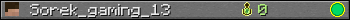 Sorek_gaming_13 userbar 350x20