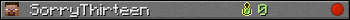 SorryThirteen userbar 350x20