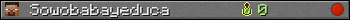 Sowobabayeduca userbar 350x20