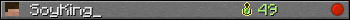 SoyKing_ userbar 350x20