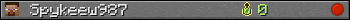 Юзербар 350x20 для Spykeew987