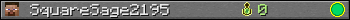 SquareSage2195 userbar 350x20