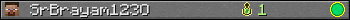 SrBrayam123O userbar 350x20