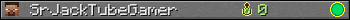 SrJackTubeGamer userbar 350x20