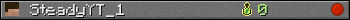 SteadyYT_1 userbar 350x20