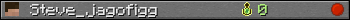 Steve_jagofigg userbar 350x20