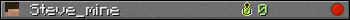 Steve_mine userbar 350x20