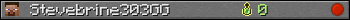 Stevebrine303GG userbar 350x20