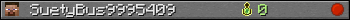 SuetyBus9995409 userbar 350x20