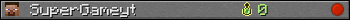 SuperGameyt userbar 350x20