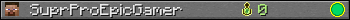 SuprProEpicGamer userbar 350x20