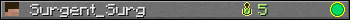 Surgent_Surg userbar 350x20