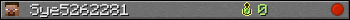 Sye5262281 userbar 350x20