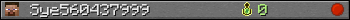 Sye560437999 userbar 350x20
