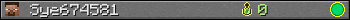 Sye674581 userbar 350x20