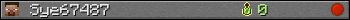 Sye67487 userbar 350x20