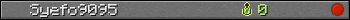 Syefo9095 userbar 350x20