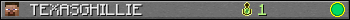 TEXASGHILLIE userbar 350x20