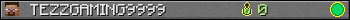 TEZZGAMING9999 userbar 350x20