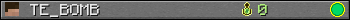 Benutzerleisten 350x20 für TE_BOMB