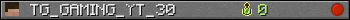 TG_GAMING_YT_30 userbar 350x20