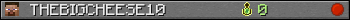 THEBIGCHEESE10 userbar 350x20