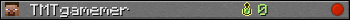 TMTgamemer userbar 350x20