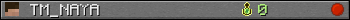 TM_NAYA userbar 350x20