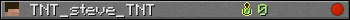 TNT_steve_TNT userbar 350x20