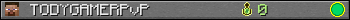 TODYGAMERPvP userbar 350x20