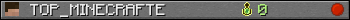 TOP_MINECRAFTE userbar 350x20