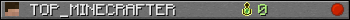 TOP_MINECRAFTER userbar 350x20