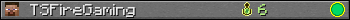 TSFireGaming userbar 350x20