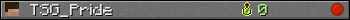 TSG_Pride userbar 350x20